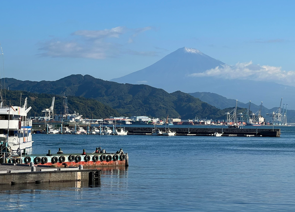 Shimizu Port and Mt. Fuji